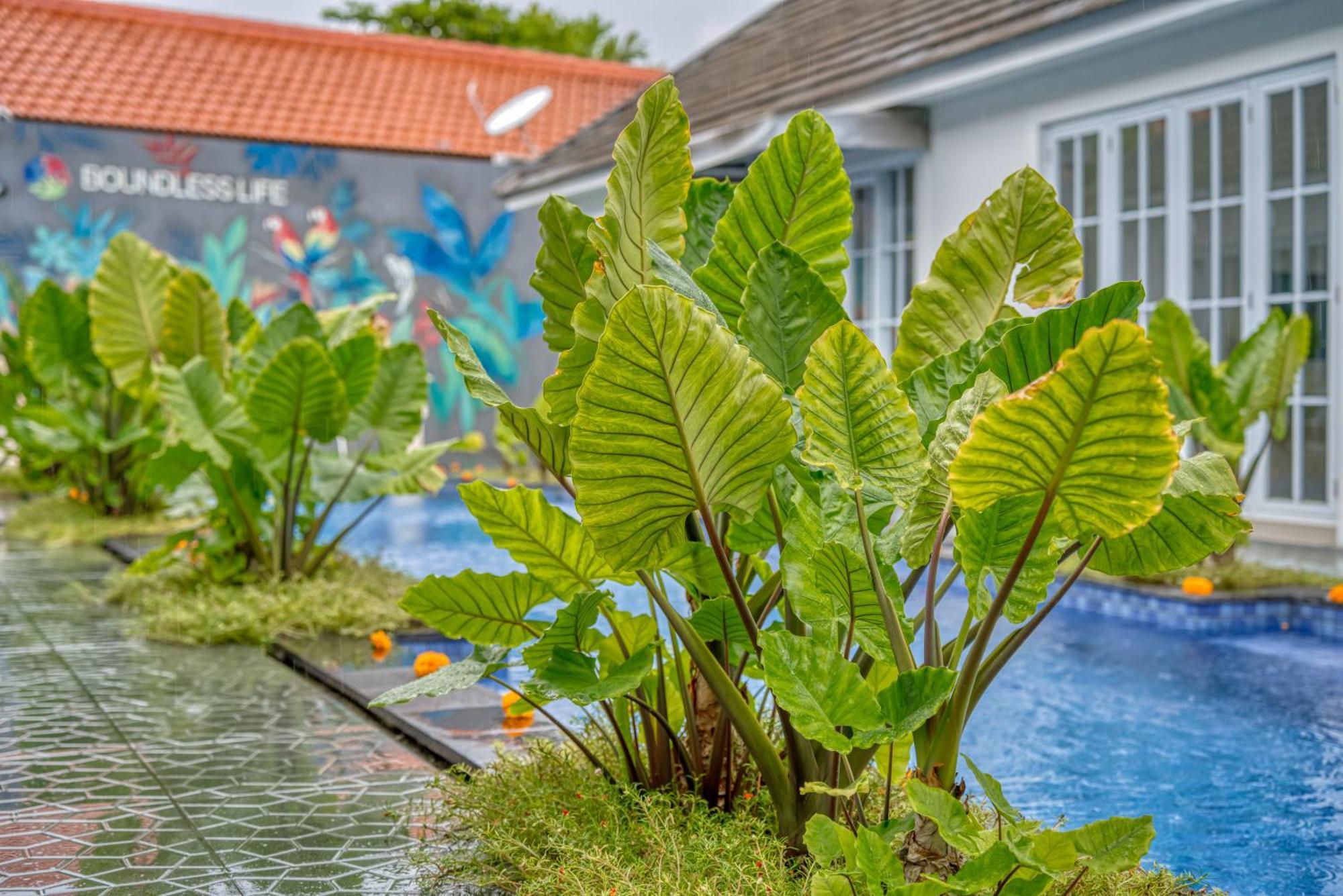 Amazing 3 Bed For Long Term * Sanur (Bali)